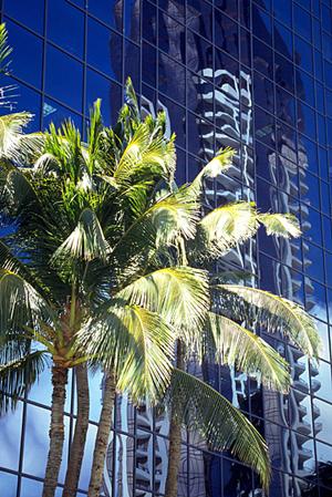 岩手県の不動産情報から一戸建てを検索