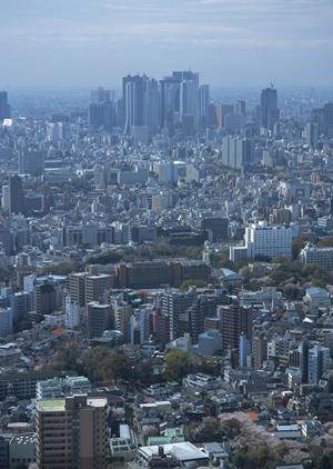 テレワークは本当に効果がある?