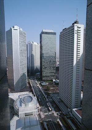 ジップラインの施工はスリルと安全性